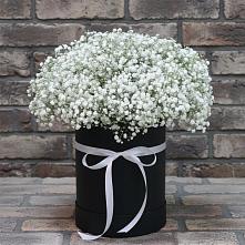 Цветочная композиция из Гипсофила в шляпной коробке #REPLACE_PRED# Шарахалсуне