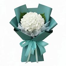 Букет цветов из:  Гортензия #REPLACE_PRED# Шарахалсуне